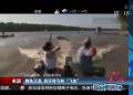 鯉魚泛濫 居民彎弓射“飛魚”