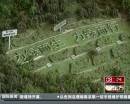 “垃圾場(chǎng)”拍婚紗：玩噱頭還是做環(huán)保？