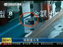高速邊苦等十三天 主人你在哪里？