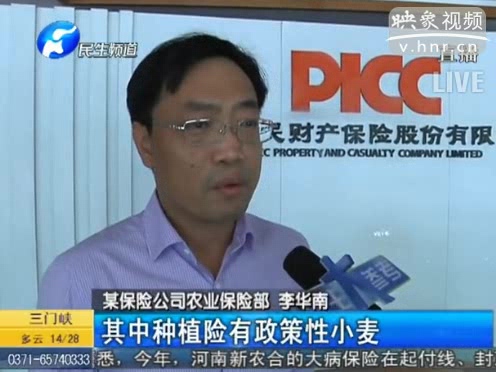 冰雹惹禍 損失能索賠嗎？