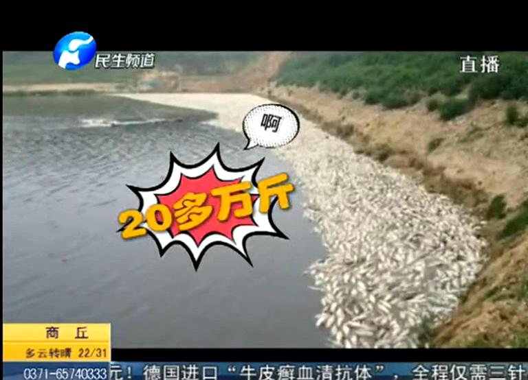 20萬斤魚翻肚因缺氧？