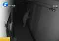 半夜遇“盜賊” 管家變?cè)┘? title=
