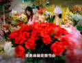 “中國夢(mèng)”主題歌曲之《我的要求不算高》