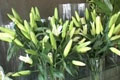 “情侶”逛花店 順走錢(qián)包刷爆卡