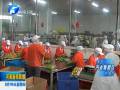 臨潁：產城融合 打造宜居宜業(yè)新縣城
