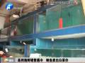 高檔海鮮銷售遇冷 鮑魚(yú)賣出白菜價(jià)