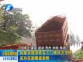 連霍高速洛陽至三門峽段立交橋成功實施爆破拆除