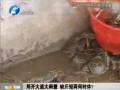 鄭開大道大閘蟹 缺斤短兩何時(shí)休？