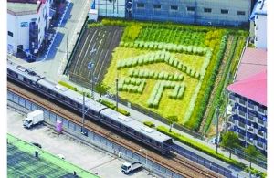日本2005年列車(chē)事故現(xiàn)場(chǎng)附近的一塊農(nóng)田里勾勒出一個(gè)“命”字，以警世人。